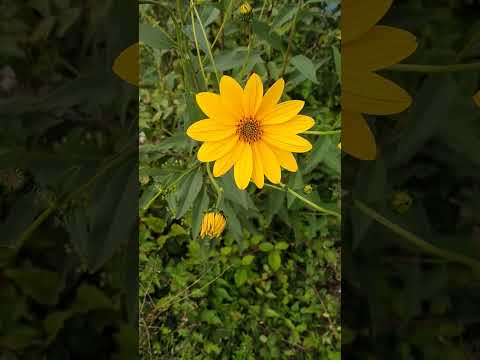 Giorgia/,🇮🇹🇷🇴😘