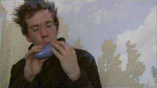 Ocarina: Song of time, Melodies of life, twinkle little star