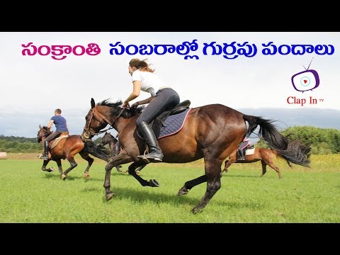 Horse Riding in village || clap in TV