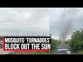 Watch : Horrifying moment mosquito ‘tornadoes’ block out the sun in Russia | Cobrapost