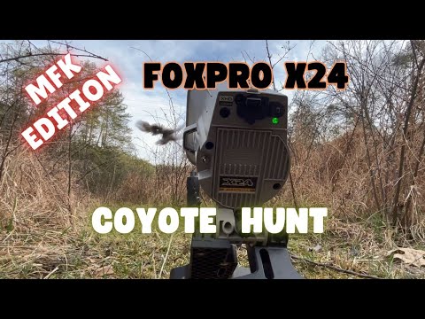 Foxpro Mfk