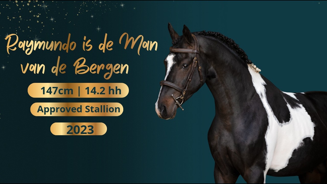 Raymundo is de man van de bergen video 3