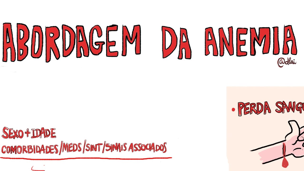 Padrões clínicos - abordagem do adulto com anemia.