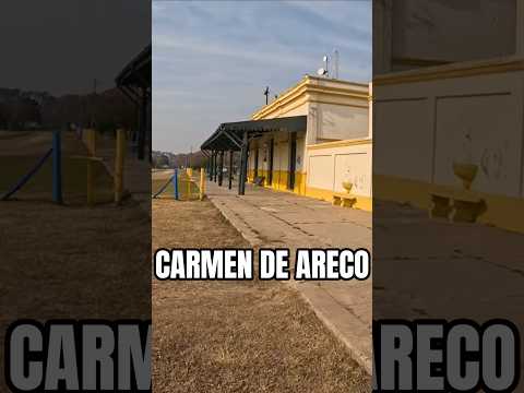 CARMEN DE ARECO