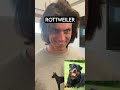 How Dog Breeds React to Robbers Part 2 (With Pictures)