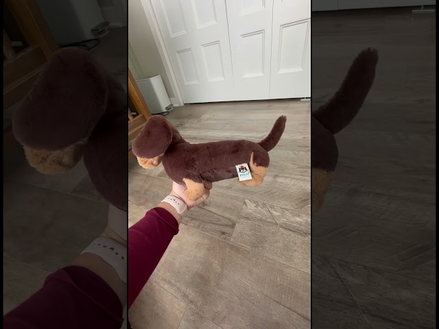 Vídeo relacionado con Jellycat - Teddybear - Otto Sausage Dog from Jellycat