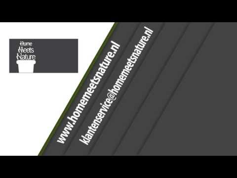 Home Meets Nature - De Planten en Potten Specialist