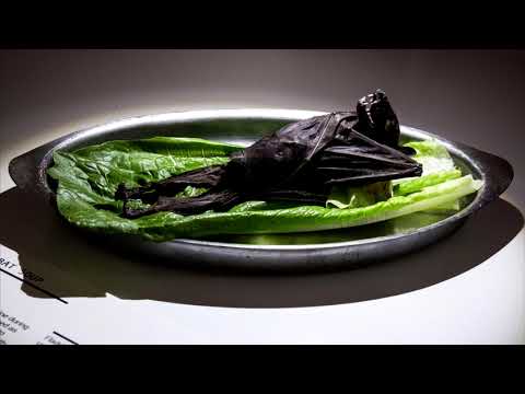 Funpaku - Fledermausfresser (Alpha Supercut (RfK-Mitschnitt))