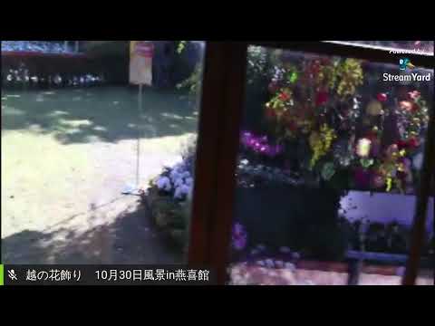 越の花飾り10月31日風景in燕喜館