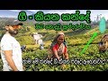 Travel To GEE-KIYANA Kanda | Wonder full Nature | Is it Still Singing top of Mountain | Who are They