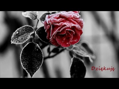 Miłosny wiersz - Dziękuje