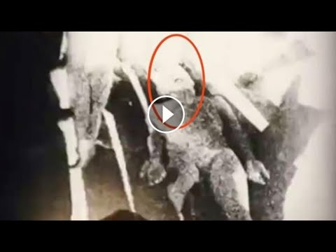 Isplivao Snimak Iz Rozvela 1947. Godine