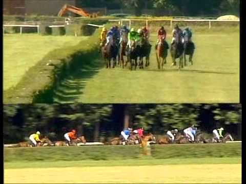 Galopprennbahn Dresden - 04.09.2011 - 3.Rennen