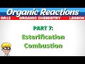 Reactions Organic Chemistry Grade 12 Esterification Combustion