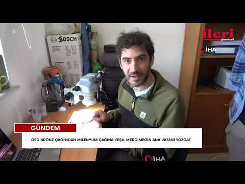 Geç Bronz Çağı'ndan Milenyum Çağına yeşil mercimeğin ana vatanı Yozgat | İleri Gazetesi