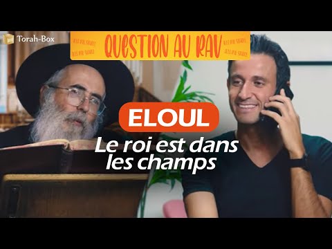 ELOUL 🚨 LE ROI EST DANS LES CHAMPS 👑