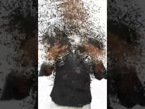 Shawn Storm ft Chronic Law - Kingston ice (Official Audio)