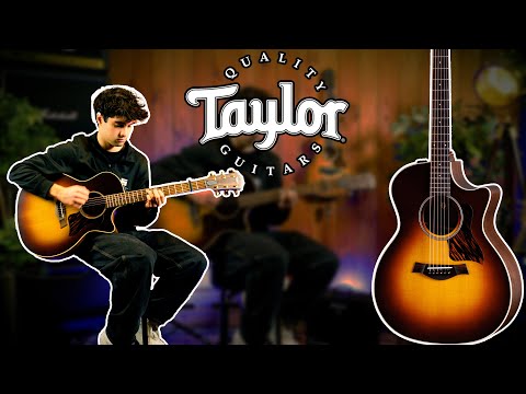 Taylor 50th Anniversary AD14ce SB LTD DEMO | Souman Music