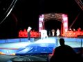 The Gymnasts Circus
