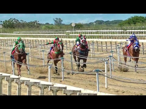 Classificatórias do XVI GP HARAS PRIMAVERA - Jockey Clube Cearense - CE / #corridadecavalos