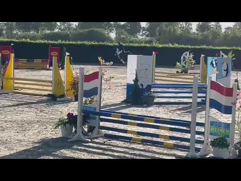 Hickstead Black and White by Hickstead White x Cavaliers Jump @winning 90cm Wanneperveen
