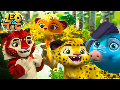 LEO and TIG 🦁 Best Episodes 2021💛 Episodes collection 💚 Moolt Kids Toons Happy Bear