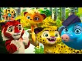 LEO And TIG Best Episodes 2021 Episodes Collection Moolt Kids Toons Happy Bear