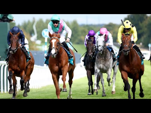 150/1 QIRAT produces biggest big-race shock in British Flat racing history with Sussex Stakes win