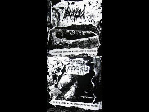 Black Cilice/Mons Veneris Split
