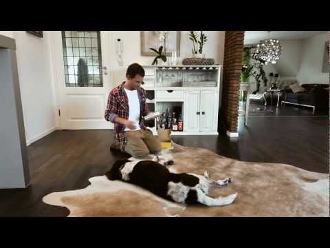 Hundeberuhiger Ricko HB 100 (komplett)