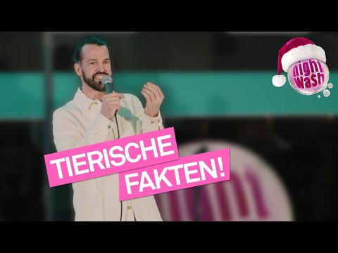 Der Tesla unter den Salzstreuern - David Kebekus | NightWash Live X-Mas Edition
