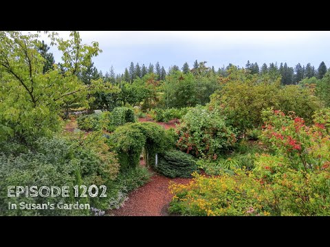 Growing a Greener World Episode 1202 - In Susan's Garden
