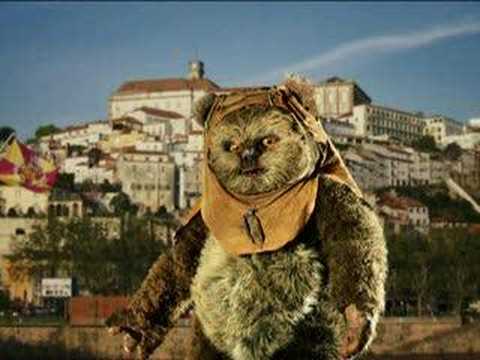 Bruno Aleixo | Vida Portuguesa