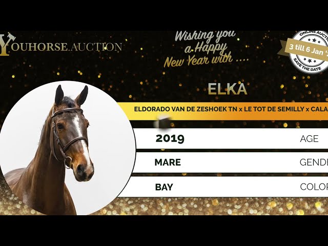 Elka Z
