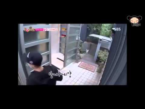 [PM] GOT7 Girl group dance Compilation