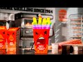 Pretty Neat Spicy Chicken Fries But Homosexual