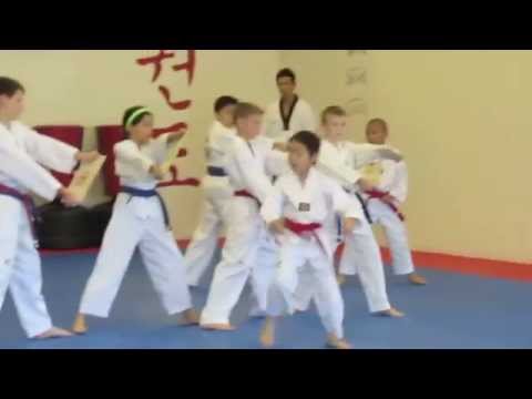 Taekwondo Kids' Demo Team