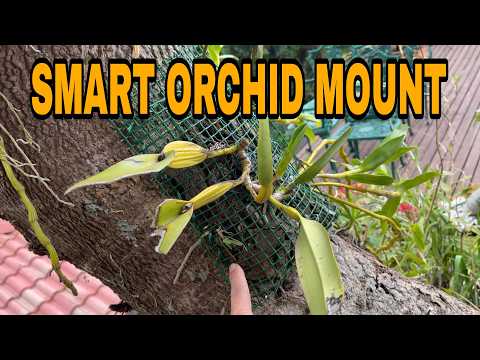 Stop Killing Mounted Orchids – Make This Mesh Pouch Instead