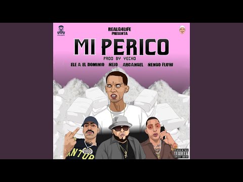 Mi Perico (Remix)