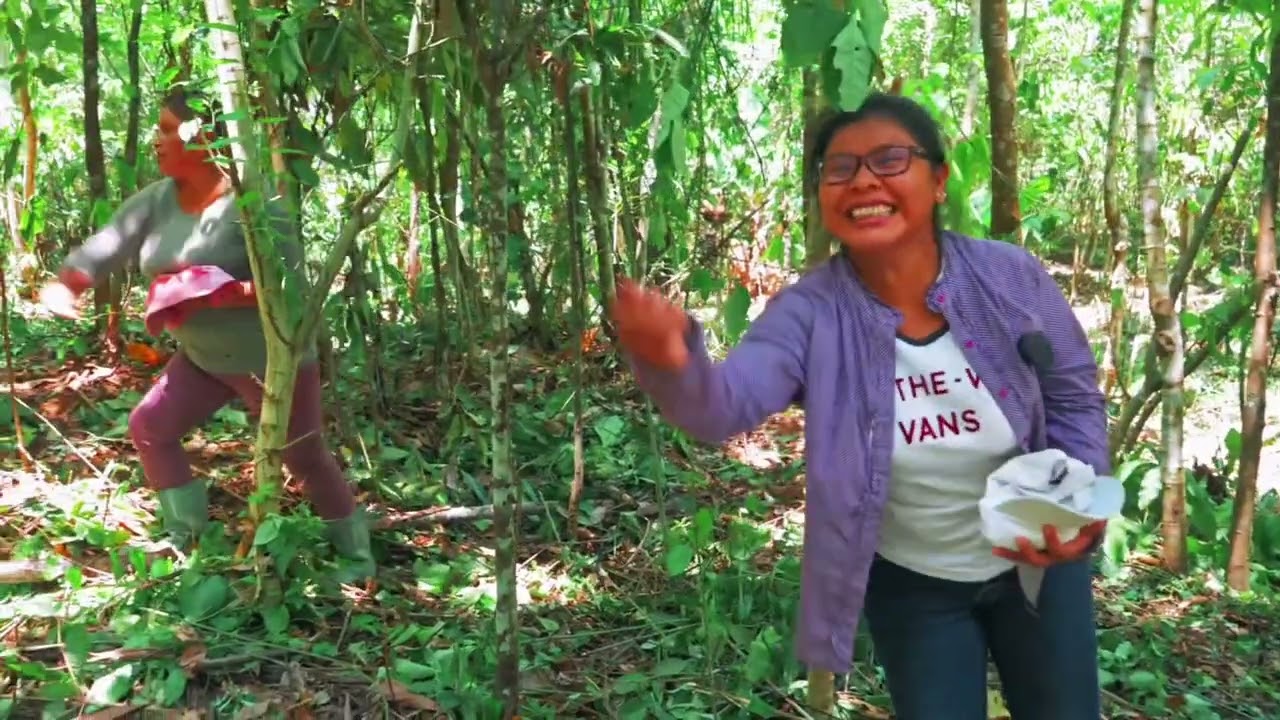 Cómo instalamos una parcela de aprendizaje en Agroforestería Dinámica | Fundación ECOTOP
