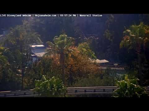 Live webcam of Disneyland Cam