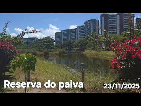 Reserva do paiva #8k #cabodesantoagostinho #pernambuco #nordeste #brasil #brazil #natureza