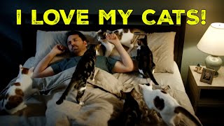 🐱 I LOVE MY CATS song!  #kids