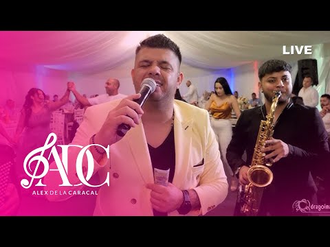 Alex de la Caracal - Poți să ai bani să-i cari cu roaba ( Cover Cristi Mega )