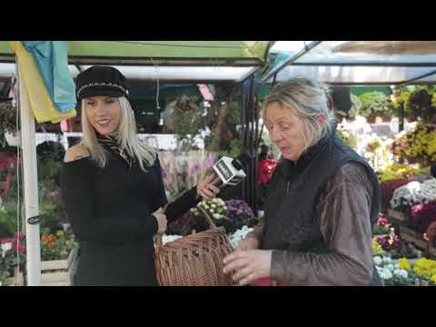 Ceger ep.56 - Zemunska pijaca - 24.10.2019.