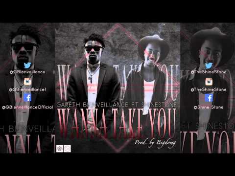 Gareth B ft Shinestone - Wanna Take You (Audio)