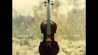 Saltillo - Grafting.mp4