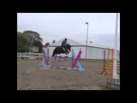 Kuc Magnes - parkur 120-125cm  Podkowa Gruszczyn