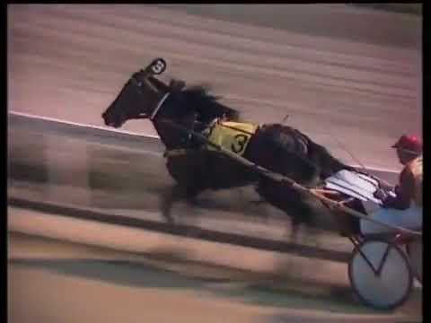 Young Quinn 1975 Inter Dominion Grand Final