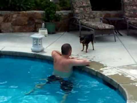 Jer teasing Kona in the Pool